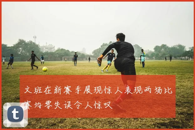文班在新赛季展现惊人表现两场比赛均零失误令人惊叹