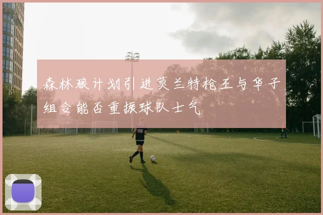 森林狼计划引进莫兰特枪王与华子组合能否重振球队士气